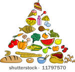 food pyramid  vector...