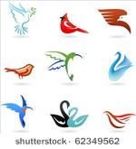 set of different cute birds...