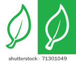 green leaf of a plant silhouette