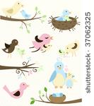 mama bird and baby tweet. this...