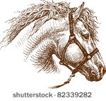 horse