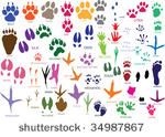 vector paw prints of animals...