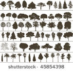 vector trees