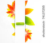 vector abstract flower...