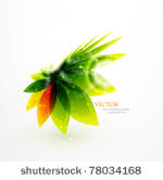 nature flower background