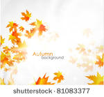 vector fall background. orange...