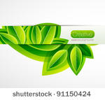 fresh summer green leaves....