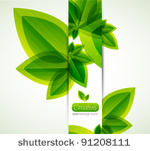 green nature leaves vector...