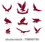 eagle silhouettes set