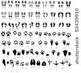collection of shoeprint ...