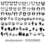 collection of shoeprint ...