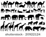 african animals silhouettes  ...