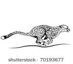 vector running cheetah.