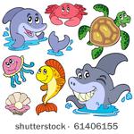 set of marine animals   vector...