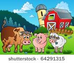three farm animals near barn  ...