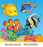 underwater animals and fishes 2 ...