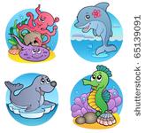 various water animals and...