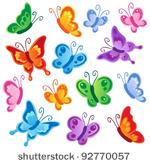 various butterflies collection...