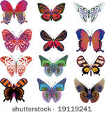 vector of various colorful...