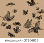 vector of traditional chinese...