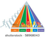 food pyramid. vector
