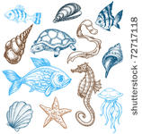 marine life drawing