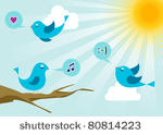 twitter birds morning...