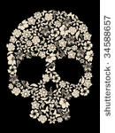 human skull of flowers vector
