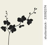 orchid branch silhouette ...