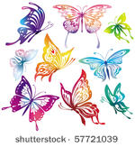 colored butterflies