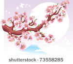 flowering branch in the sun