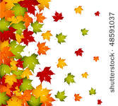 autumn leaves  background