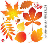 autumn leaves set