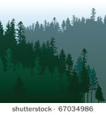 coniferous forests