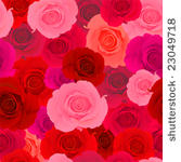 vector. red   pink rose...