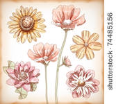 vector hand drawn assorted...