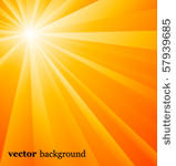 vector background