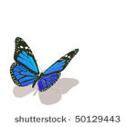 vector butterfly