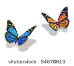 vector butterfly collection