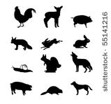 vector animals collection