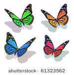 vector butterfly collection