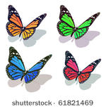 vector butterfly collection