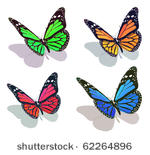 vector butterfly collection