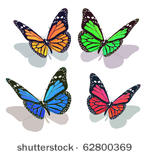 vector butterfly collection