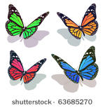 vector butterfly collection