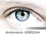 realistic eye vector design  ...