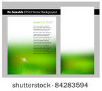 abstract summertime green grass ...