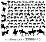 hundred of horse siluetas in...