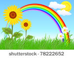 sunflowers  camomiles  rainbow...