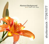lily flower abstract vector...